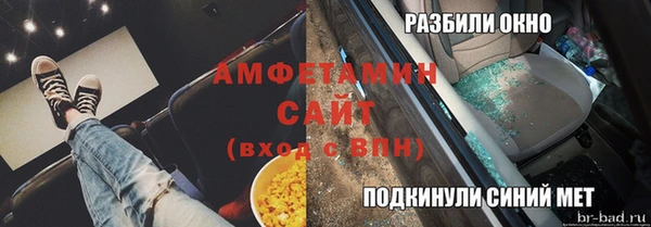 стаф Алексин