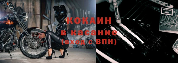 стаф Алексин