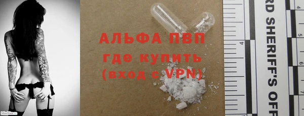 стаф Алексин