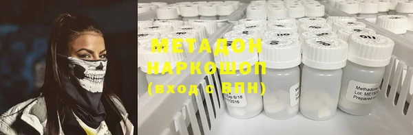 стаф Алексин