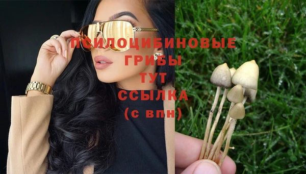 стаф Алексин