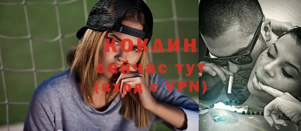 стаф Алексин