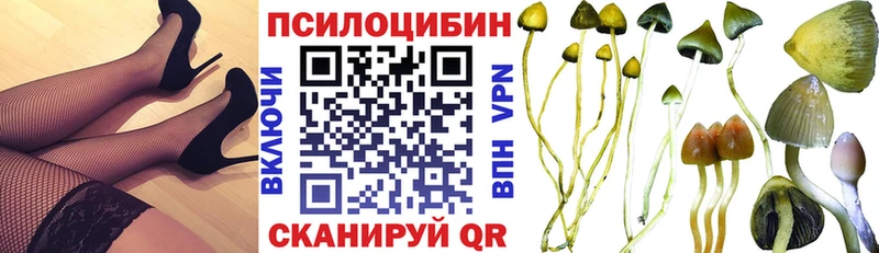 Псилоцибиновые грибы Cubensis  где можно купить наркотик  Кувшиново 